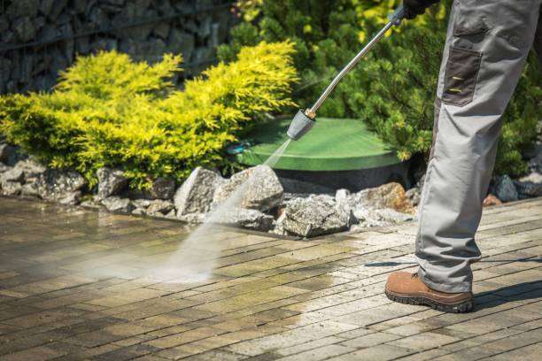 Best Spring Cleaning  in South Bend, IN